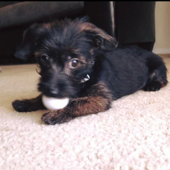 LIKE TO BE NOTIFIED 💟 I’M LIVE 💟 - Picture 9 of 13